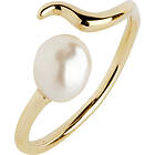 Maria Black Moonshine Ring Goldplated Silver 50