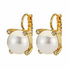 Dyrberg/Kern TANA SG WHITE PEARL Örhängen Guld
