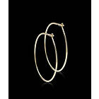 Blomdahl GT Ear Ring 25 mm Guld