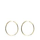 Syster P Beloved Medium Hoops Gold