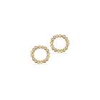 Scrouples Soho Förgyllt Silver Örhängen Med Zirconia 160022