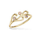 Scrouples 8 karat guld Ring Med Zirconia