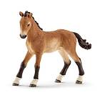 Schleich HORSE CLUB Tennessee Walker föl 13804