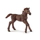 Schleich HORSE CLUB Engelskt Fullblod Föl 13857