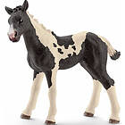 Schleich HORSE CLUB Pintoföl 13803