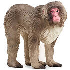 Schleich WILD LIFE Japansk Makak 14871