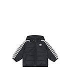 adidas Originals Padded Jacket 