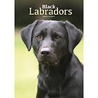 Labrador Retrievers Black A5 Diary 2025 (häftad, eng)