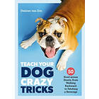 Teach Your Dog Crazy Tricks (häftad, eng)