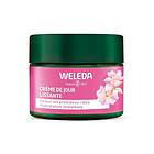 Weleda Wild Rose & White Tea Illuminerande dagkräm 40ml