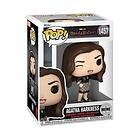 Funko Pop Tv: Meme Agatha Harkness?