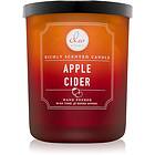 DW Home Signature Apple Cider doftljus 438,85g