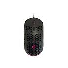 Conceptronics Conceptronic DJEBBEL04B 6D mouse honeycomb shell USB 2,0 black Mouse Optic 6 knappar Svart