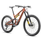 Specialized Stumpjumper 15 Ohlins Coil