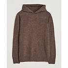 Gran Sasso Wool Hoodie (Herr)