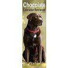 Chocolate Labrador Retriever Slim Calendar 2025 Dog Breed Slimline Calendar 12 Month