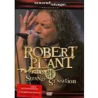 Robert Plant and the Strange Sensation (UK) (DVD)