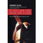 If You Are the Son of God