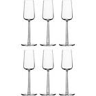 Iittala Essence Champagneglas 21 cl 6-pack