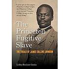 The Princeton Fugitive Slave