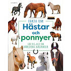 Fakta om hästar och ponnyer : Lär dig allt om världens hästraser (inbunden)