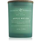DW Home Charming Farmhouse Apple Melon doftljus 230g