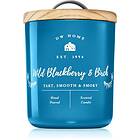 DW Home Farmhouse Wild Blackberry & Birch doftljus 255g