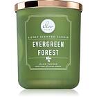 DW Home Signature Evergreen Forest doftljus 445g