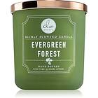 DW Home Signature Evergreen Forest doftljus 269g