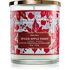 Bath & Body Works Spiced Apple Toddy Ljus 227g