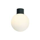 Aneta Lighting Saltvik