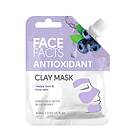 Face Facts Antioxidant Clay Mask 60ml