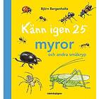 Känn igen 25 myror och andra småkryp