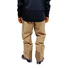 The Mountain Studio Gore-tex Pro 3l Pants (Herr)