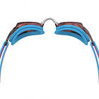 Speedo Vanquisher 3.0 Mirror Barn