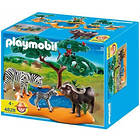 Playmobil African Wildlife 4828 Buffle africain avec zèbres
