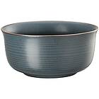 Rosenthal THOMAS NATURE OCEAN Müsliskål 15 cm