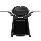 Weber Q3200N+