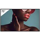 Sony Bravia FW-75BZ40L 75" 4K UHD