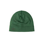 Arcteryx Rho Lightweight Wool Toque Eden