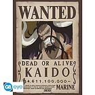 Abysse One Piece Wanted Kaido Poster Chibi (52x38cm) (gbydco265)