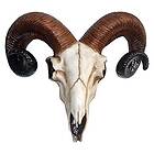 Nemesis Now Rams Skull actionfigur
