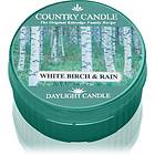 Country Candle White Birch & Rain 42g
