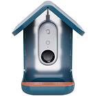 Birdbuddy Smart Bird Feeder With Solar Roof