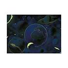 Dino Pussel Neonpussel Planets, 1000 bitar
