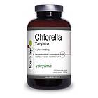 Kenay Chlorella Yaeyama, 360 Tabs