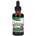 Nature's Answer Echinacea Root, 60ml