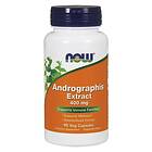 Now Foods Andrographis Extract, 400mg 90 vcaps