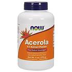 Now Foods Acerola, 4:1 Extract Powder 170 grams