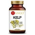 Yango Kelp (100 Caps)